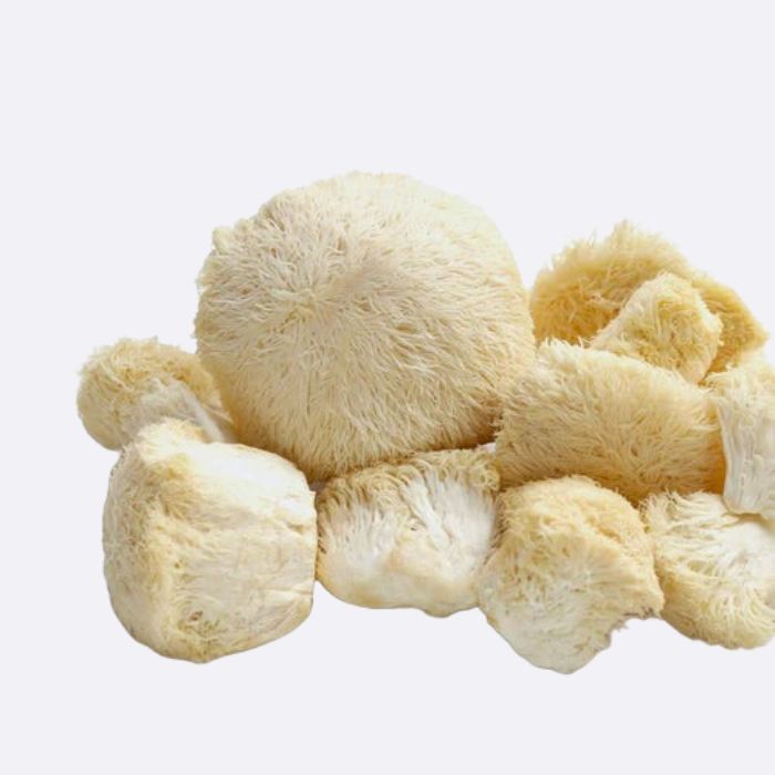 <p><strong>LION'S MANE</strong></p>